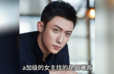 明星爆料娱乐吃瓜君,明星爆料揭秘幕后真相