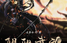 阴阳武魂,探寻平衡之道，揭秘武魂世界的神秘力量