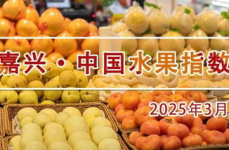 水果市场行情,缤纷果香，价格波动解析