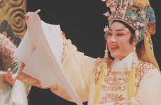 孟丽君越剧,传奇才女智斗权奸，终成眷属的宫廷爱情传奇