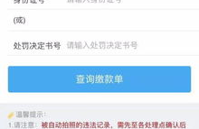 浙江高速违章查询网,一键掌握行车违规信息