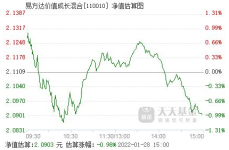 易方达价值,价值投资策略与业绩表现解析