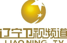 辽宁卫视电视直播,全方位了解辽宁，尽享视听盛宴