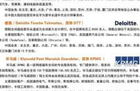 四大事务所是哪四大,引领财经领域的巨头力量