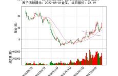 002608股票,揭秘新能源行业领军企业的发展之路