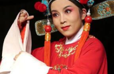 黄梅戏电视剧女驸马,传奇爱情与智慧抗争的戏曲故事