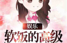娱乐吃瓜酱吃饭小说,饭圈风云下的小说世界