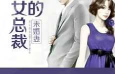 我的美女总裁未婚妻,一段跨越千里的爱情旅程