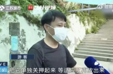 吃瓜网红兄弟,揭秘娱乐圈背后的那些事儿