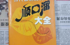 顺口溜大全娱乐,趣味盎然，笑料横生的民间智慧集结
