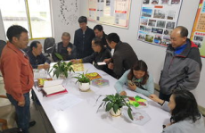 娱乐公司的分工,从制作到营销，揭秘幕后分工